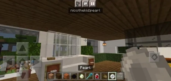 Pearl namespace and ID info