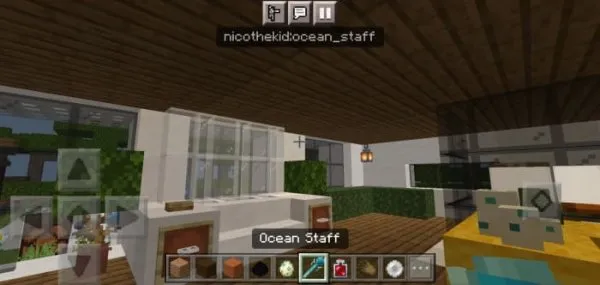 Ocean Staff namespace and ID info