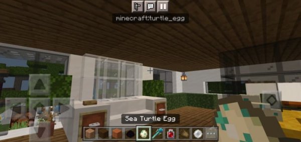 Sea Turtle Egg namespace and ID info