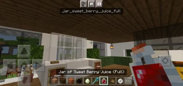 ID info for Jar of Sweet Berry Juice item