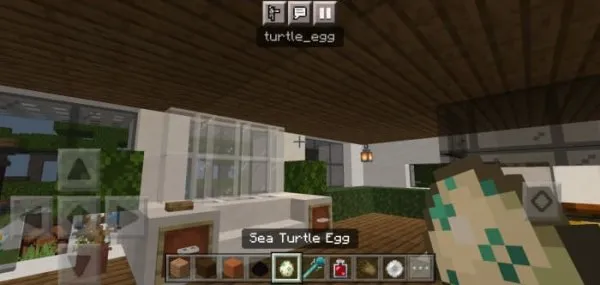 ID info for Sea Turtle item