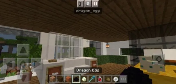 ID info for Dragon Egg item