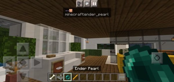 Advanced Items Info drops info for Ender Pearl