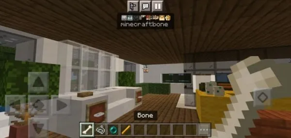 Advanced Items Info drops info for Bone