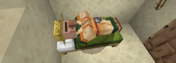 Sleeping villager with closed eyes.