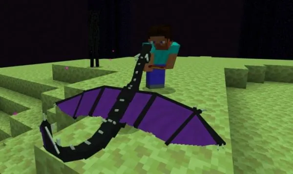 Young End Dragon.