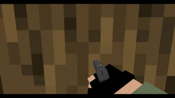 PM pistol