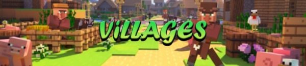 Villager Banner.