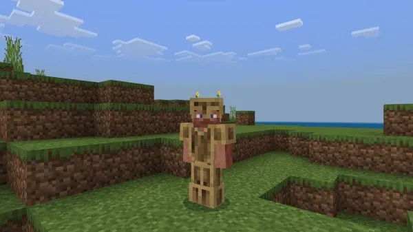 Wooden Armor