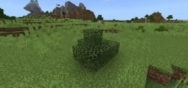 Birch Bush