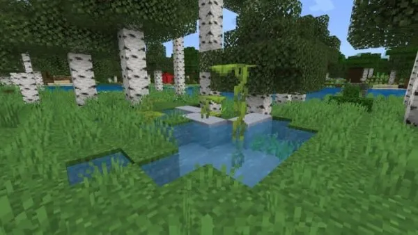 Clay Pond