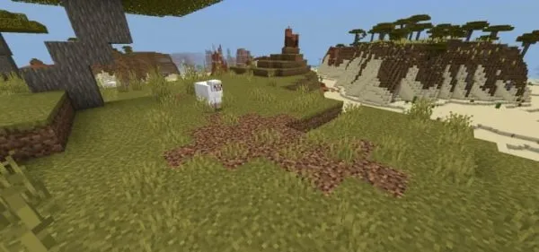 Coarse Dirt Patch