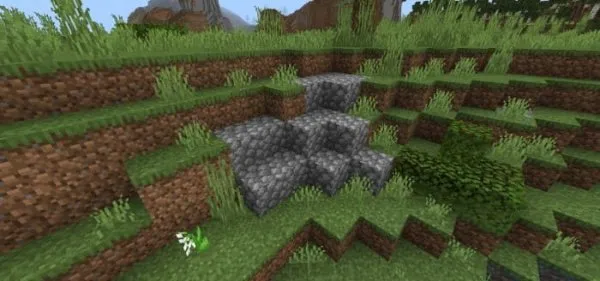 Cobblestone Patch