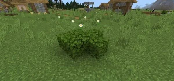 Dark Oak Bush