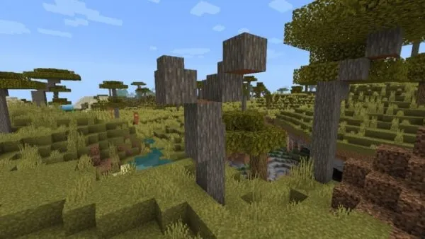 Dead Acacia Tree