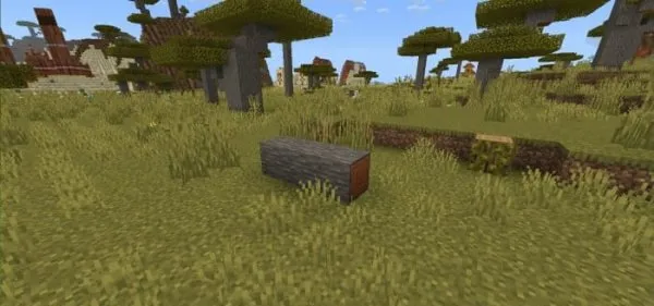Fallen Acacia Log