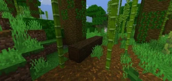Fallen Dark Oak Log