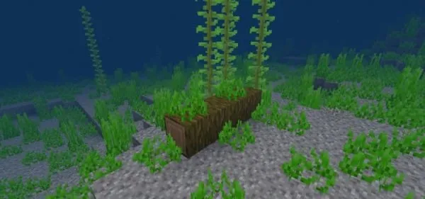 Fallen Jungle Log