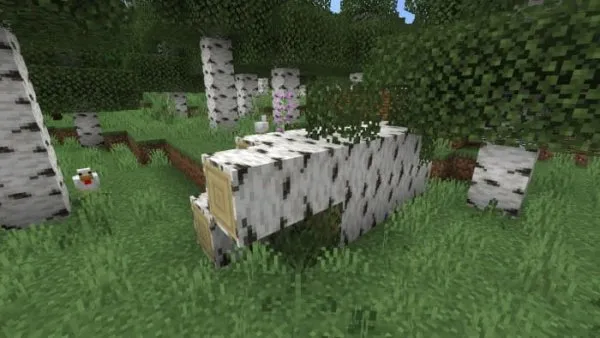 Fallen Mega Birch Log