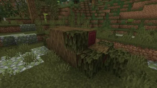 Fallen Mega Mangrove Log