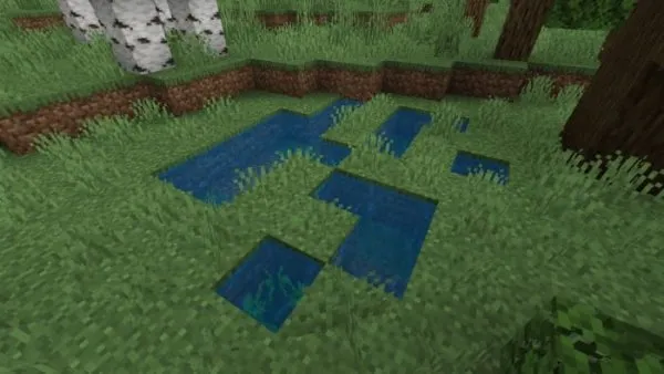 Grass Pond