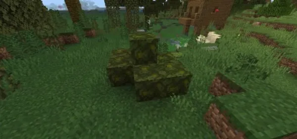 Jungle Bush