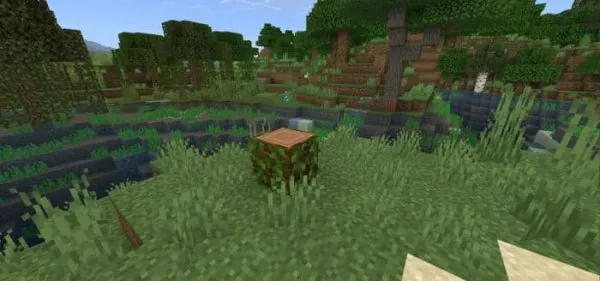 Jungle Stump
