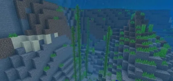 Kelp Vegetation