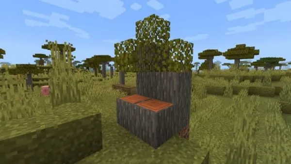 Mega Acacia Stump