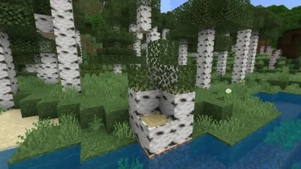 Mega Birch Stump