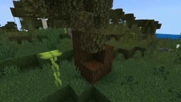 Mega Dark Oak Stump