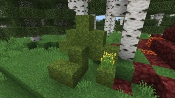 Moss Block Mound