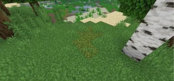 Moss Block Patch