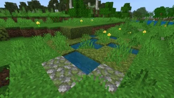 Moss Pond