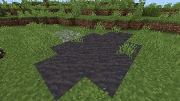 Mud Patch