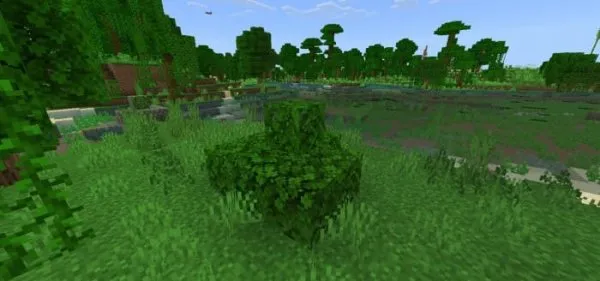 Oak Bush