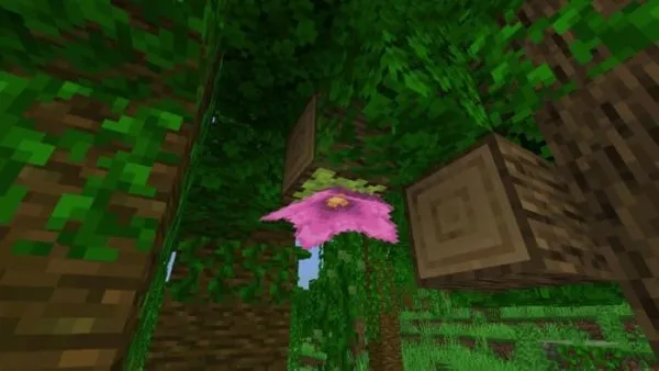 Spore Blossom Vegetation