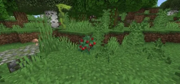 Sweet Berry Bush Vegetation