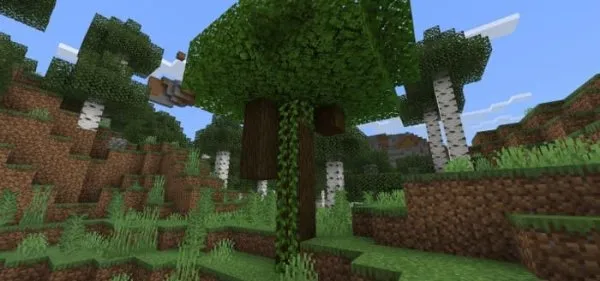 Wild Dark Oak Tree