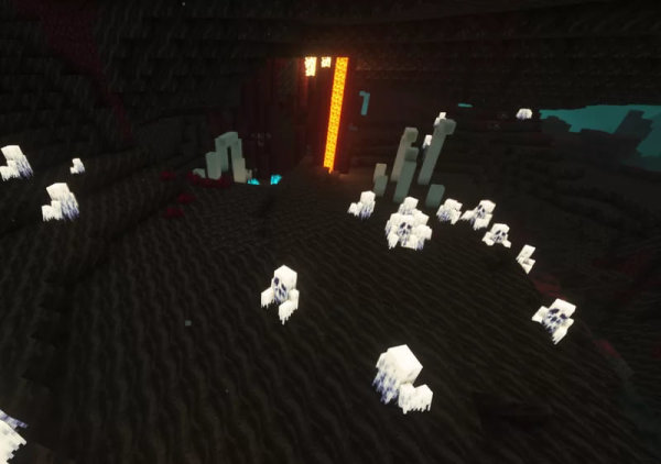 Wraiths in the Nether