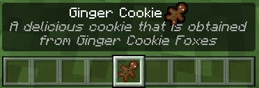 Ginger Cookie Item