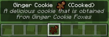 Cooked Ginger Cookie Item