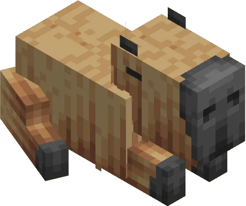 The capybara is lying