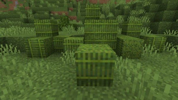 Lush Grass Bale