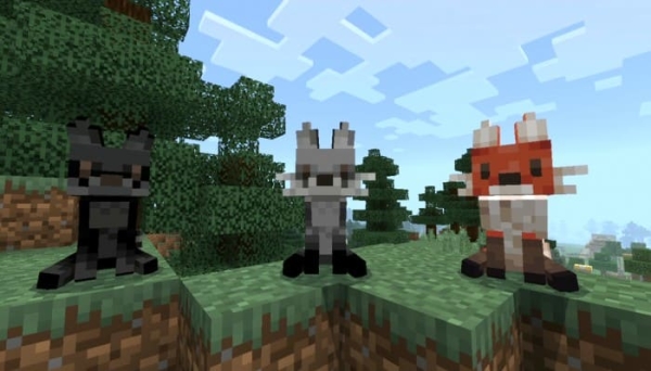 Red Fox,Black Fox and Grey Fox