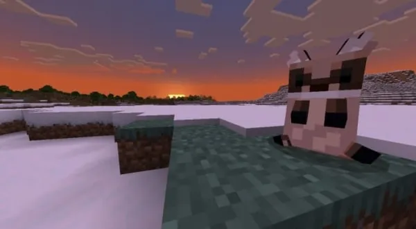 Special panda variant