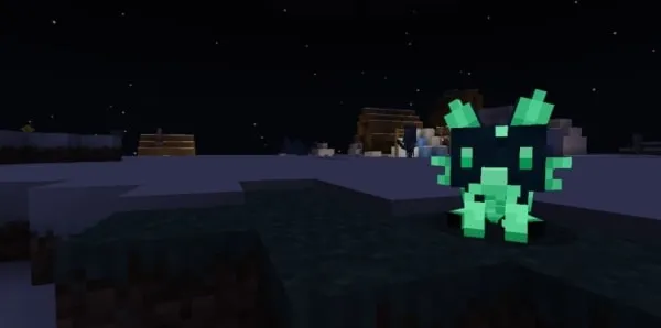 Glow Fox at night