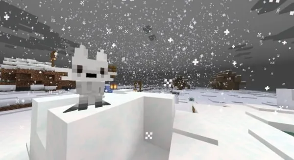White Fox