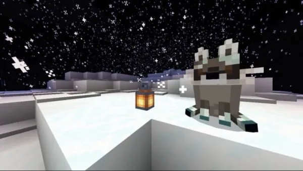 Snow Raccoon fox variant