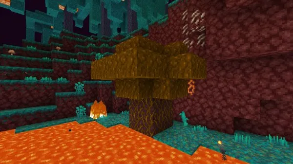 Blaze Tree